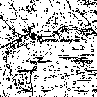  Одноверстная карта Эстляндии